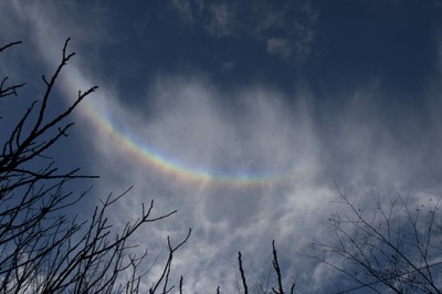 arccircumzenithal.jpg