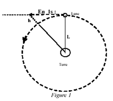 Gravitation nounours 1